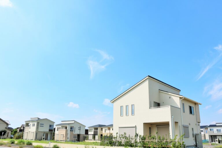 コンサルティング実績